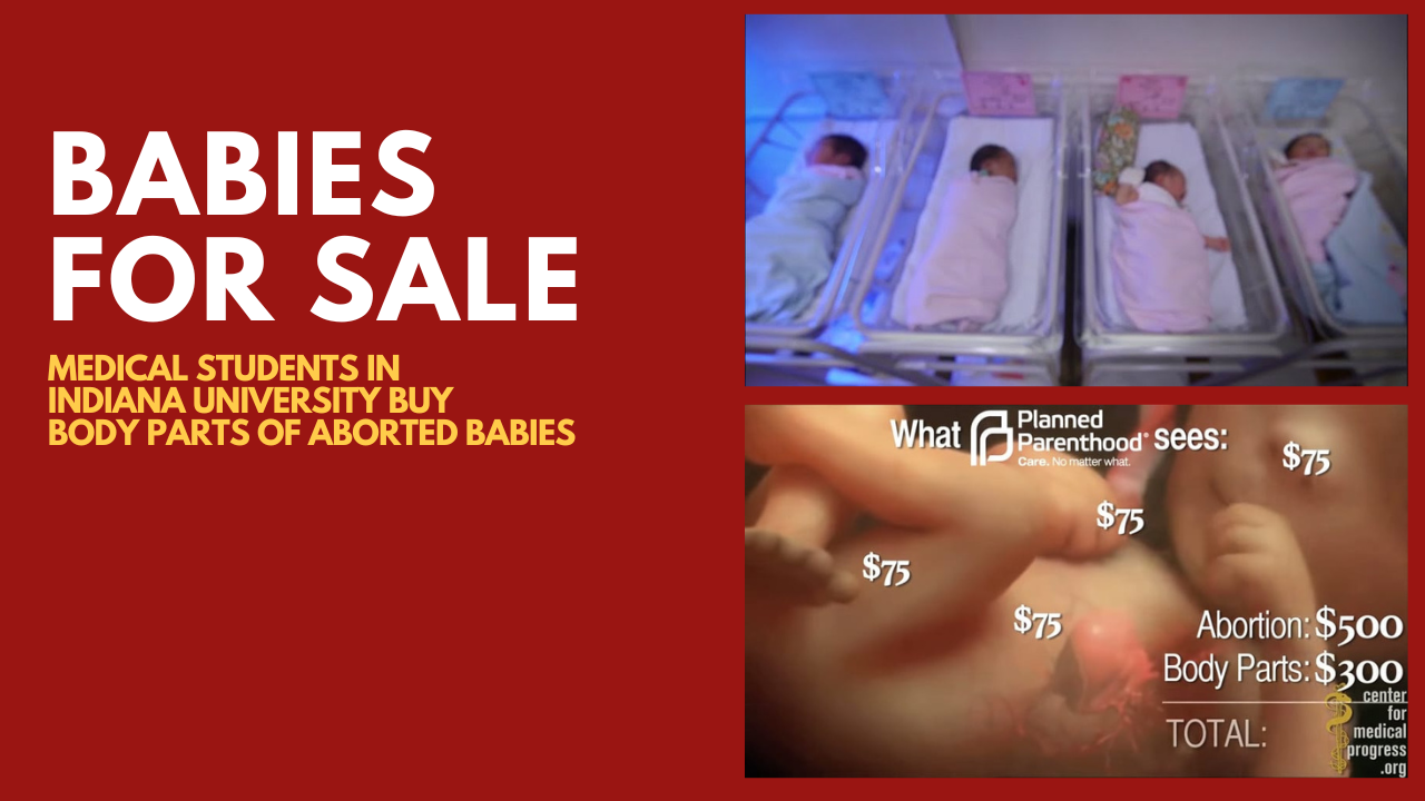 Vishal Mangalwadi's post about Al Jazeera’s report “Babies for sale” in Malaysia. And on abortion